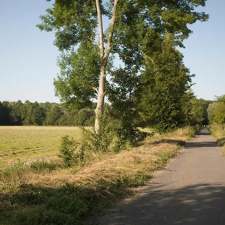 Les Du Champ Des Oiseaux