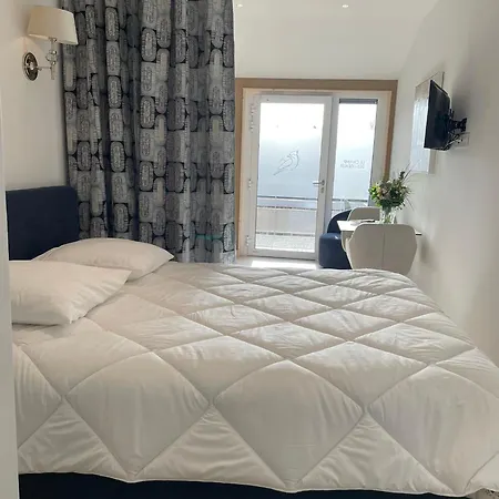 Les Du Champ Des Oiseaux