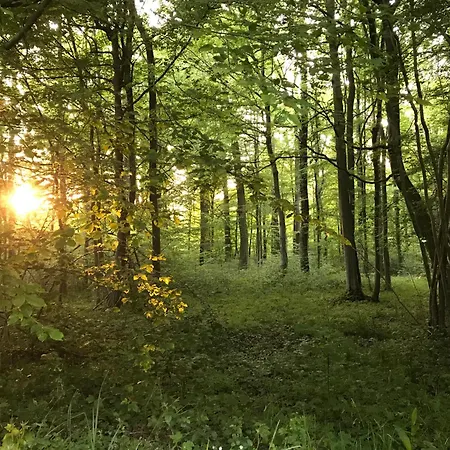 شقة Les Du Champ Des Oiseaux *