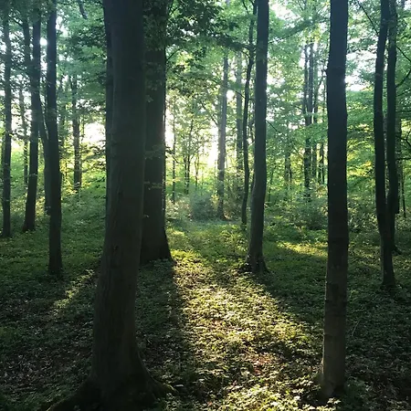 Les Du Champ Des Oiseaux سانت أماند ليه أوكس