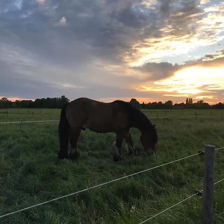 شقة Les Du Champ Des Oiseaux