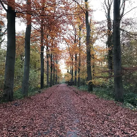 Les Du Champ Des Oiseaux Apartmán